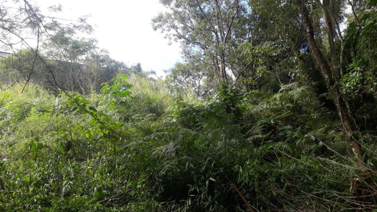 Imagem Terreno à Venda, 1.000 m² em Ortizes - Piedade Imagem Terreno à Venda, 1.000 m² em Ortizes - Piedade