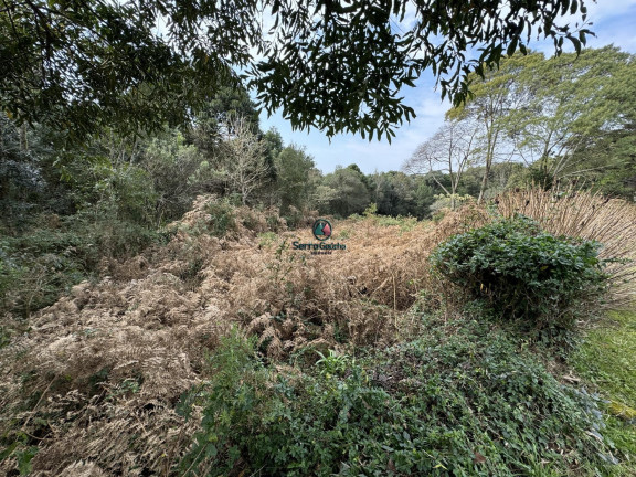 Terreno à Venda, 1.596 m² em Golf Club - Gramado