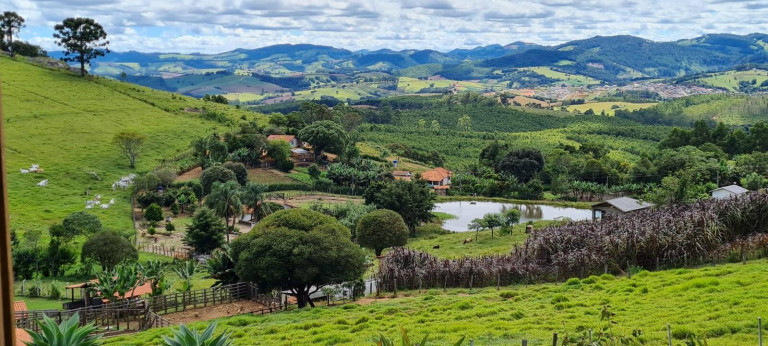 Chácara com 3 Quartos à Venda, 24.000 m² em Pedra Bela