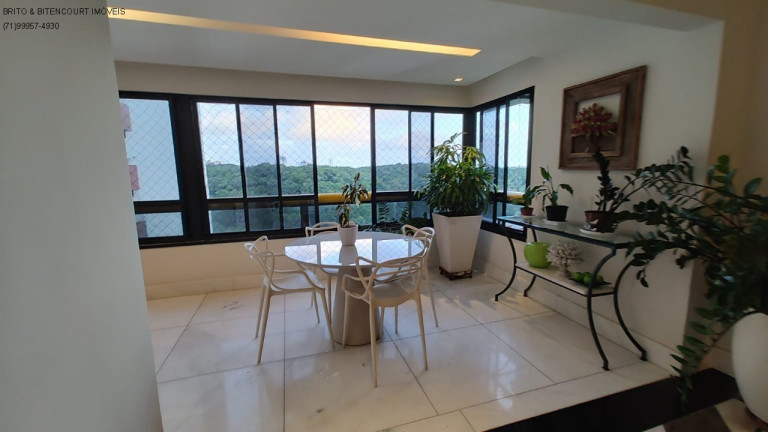Imagem Imóvel com 4 Quartos à Venda, 350 m² em Itaigara - Salvador