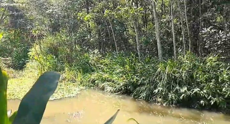 Imagem Chácara à Venda, 140 m² em Azurita - Mateus Leme Imagem Chácara à Venda, 140 m² em Azurita - Mateus Leme