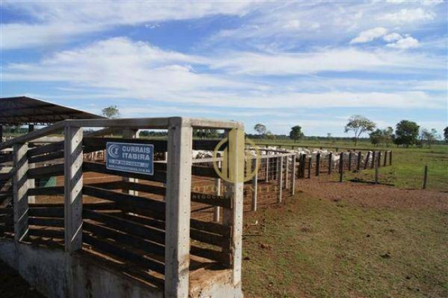 Imagem Fazenda à Venda, 1.000 m² em Centro - São Miguel Do Araguaia Imagem Fazenda à Venda, 1.000 m² em Centro - São Miguel Do Araguaia