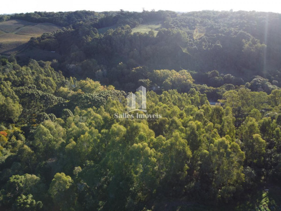 Imagem Terreno à Venda, 10.000 m² em São Cristovão - Flores Da Cunha Imagem Terreno à Venda, 10.000 m² em São Cristovão - Flores Da Cunha