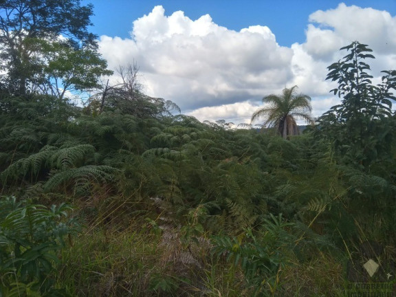 Imagem Imóvel à Venda, 20.000 m² em Roças Novas (caeté - Mg) - Caeté Imagem Imóvel à Venda, 20.000 m² em Roças Novas (caeté - Mg) - Caeté