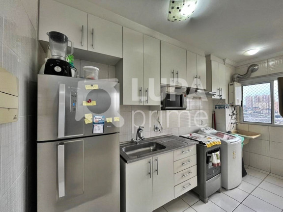 Imagem Apartamento com 2 Quartos para Alugar, 45 m² em Ponte Grande - Guarulhos Imagem Apartamento com 2 Quartos para Alugar, 45 m² em Ponte Grande - Guarulhos