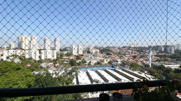 Imagem Apartamento com 3 Quartos à Venda, 75 m² em Vila Sônia - São Paulo Imagem Apartamento com 3 Quartos à Venda, 75 m² em Vila Sônia - São Paulo