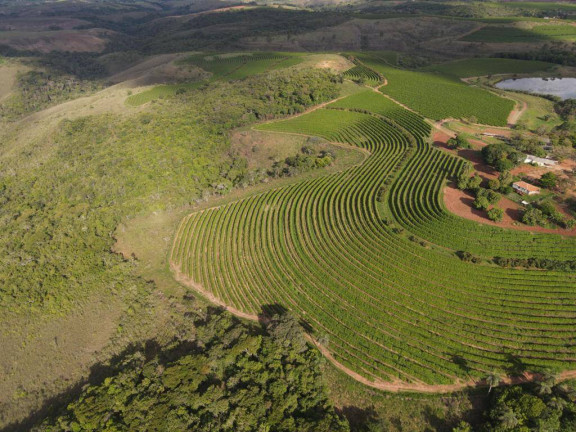 Imagem Fazenda à Venda, 399 m² em Centro - Santa Rosa Da Serra Imagem Fazenda à Venda, 399 m² em Centro - Santa Rosa Da Serra