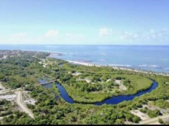 Imagem Terreno à Venda, 700 m² em Praia Do Forte - Mata De São João Imagem Terreno à Venda, 700 m² em Praia Do Forte - Mata De São João