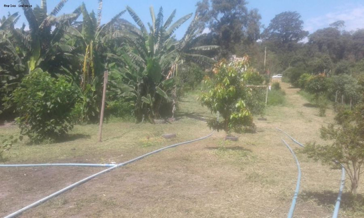 Imagem Chácara com 3 Quartos à Venda, 90 m² em Azurita - Mateus Leme