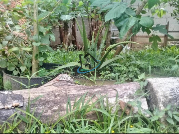 Imagem Casa com 2 Quartos à Venda, 291 m² em Morro Do Algodão - Caraguatatuba