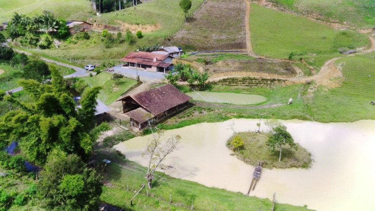 Imagem Imóvel com 5 Quartos à Venda, 140.000 m² em Zona Rural - Presidente Nereu
