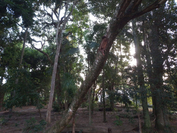 Imagem Chácara com 3 Quartos à Venda, 24 m² em Aparecida - Araçoiaba Da Serra Imagem Chácara com 3 Quartos à Venda, 24 m² em Aparecida - Araçoiaba Da Serra