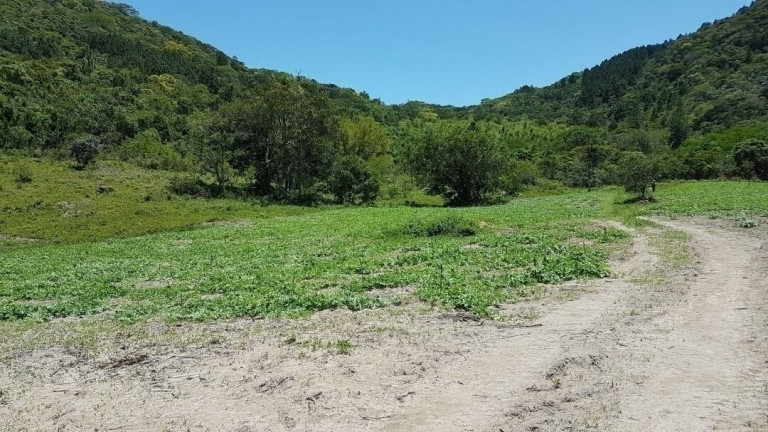 Imagem Fazenda à Venda, 80 m² em São João Do Rio Vermelho - Florianópolis Imagem Fazenda à Venda, 80 m² em São João Do Rio Vermelho - Florianópolis