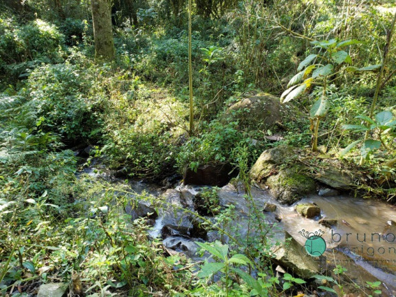 Imagem Imóvel à Venda,  em Zona Rural - Alfredo Wagner