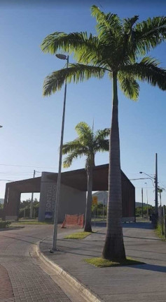 Imagem Apartamento com 2 Quartos à Venda, 66 m² em Recreio Dos Bandeirantes - Rio De Janeiro Imagem Apartamento com 2 Quartos à Venda, 66 m² em Recreio Dos Bandeirantes - Rio De Janeiro
