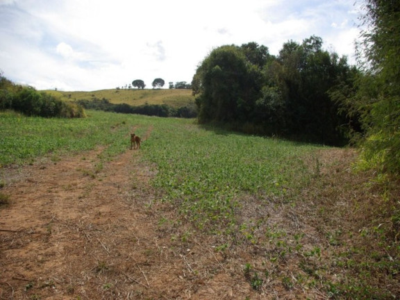 Imagem Imóvel à Venda, 435.600 m² em Zona Rural - Jacui Imagem Imóvel à Venda, 435.600 m² em Zona Rural - Jacui
