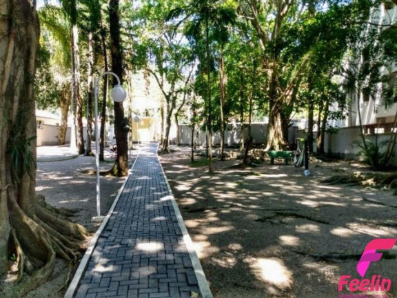 Imagem Apartamento com 3 Quartos à Venda, 70 m² em Ribeirão Da Ilha - Florianópolis Imagem Apartamento com 3 Quartos à Venda, 70 m² em Ribeirão Da Ilha - Florianópolis