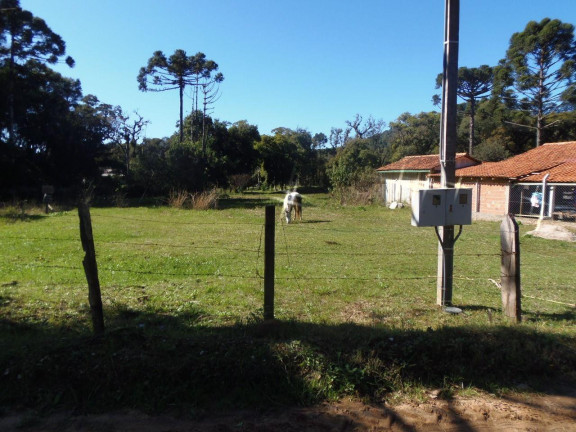 Imagem Terreno à Venda, 515 m² em Bateias - Campo Largo Imagem Terreno à Venda, 515 m² em Bateias - Campo Largo