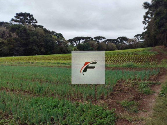 Imagem Terreno à Venda, 4.987 m² em Umbará - Curitiba Imagem Terreno à Venda, 4.987 m² em Umbará - Curitiba
