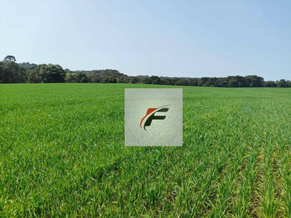 Imagem Fazenda à Venda, 847.000 m² em Centro - Lapa Imagem Fazenda à Venda, 847.000 m² em Centro - Lapa