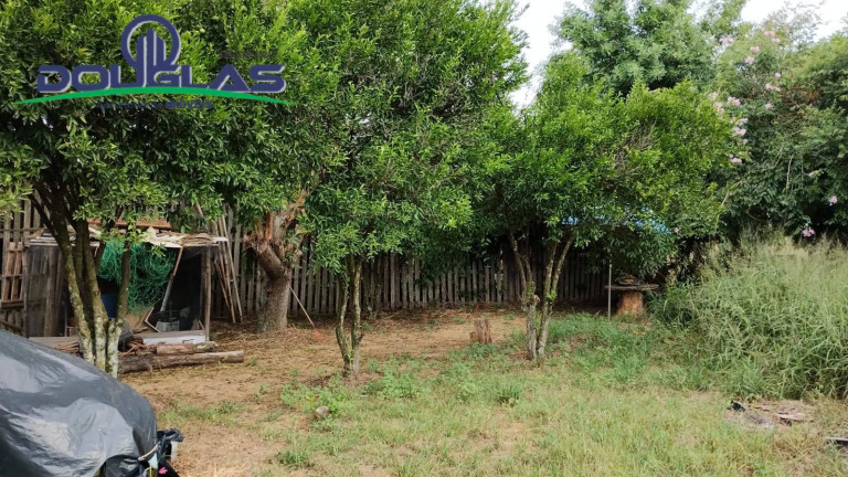 Imagem Casa com 4 Quartos à Venda, 600 m² em águas Claras - Viamão Imagem Casa com 4 Quartos à Venda, 600 m² em águas Claras - Viamão