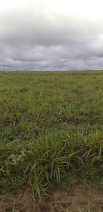 Imagem Imóvel à Venda,  em Região  De Guaraí - Guaraí