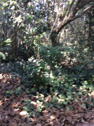Imagem Terreno à Venda, 1.300 m² em Altos De São Fernando - Jandira Imagem Terreno à Venda, 1.300 m² em Altos De São Fernando - Jandira
