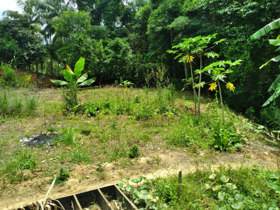 Terreno à Venda, 220 m² em Alto São Bento - Itapema