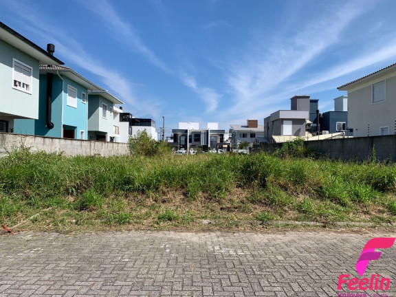 Imagem Terreno à Venda, 450 m² em Ribeirão Da Ilha - Florianópolis