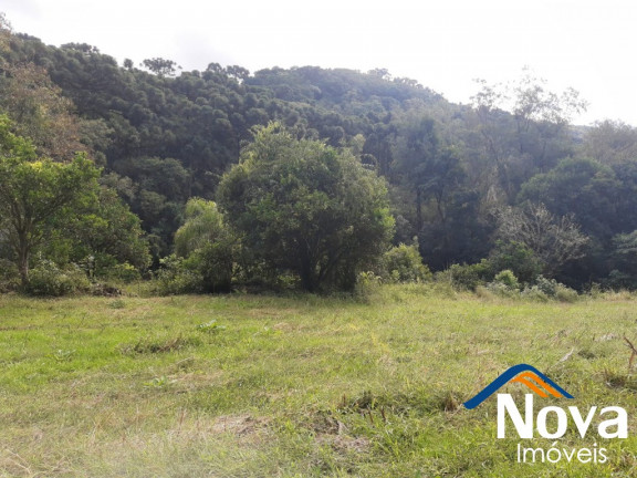 Imagem Imóvel à Venda, 120.000 m² em Linha Pirajá Baixa - Nova Petrópolis Imagem Imóvel à Venda, 120.000 m² em Linha Pirajá Baixa - Nova Petrópolis