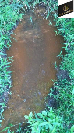 Imagem Imóvel com 2 Quartos à Venda, 24.200 m² em Lagoa Dos Ferreira - Mandirituba