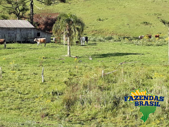 Imóvel com 1 Quarto à Venda, 100 m² em área Rural De Lages - Ponte Alta