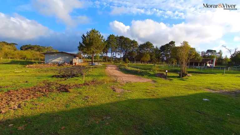 Imagem Imóvel à Venda, 32.800 m² em Ambrósio - Tijucas Do Sul