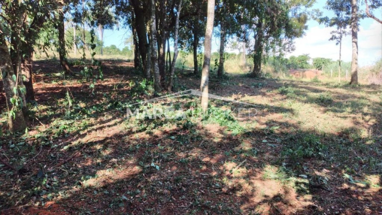 Imagem Fazenda à Venda, 35.000 m² em Floresta - Monte Santo De Minas Imagem Fazenda à Venda, 35.000 m² em Floresta - Monte Santo De Minas