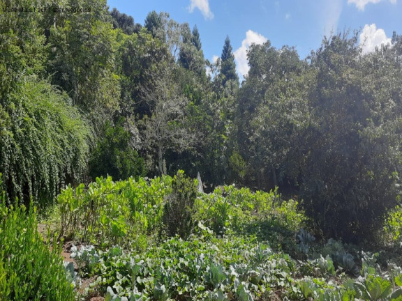 Imagem Terreno à Venda, 1.845 m² em Vila Olinda - Nova Petrópolis Imagem Terreno à Venda, 1.845 m² em Vila Olinda - Nova Petrópolis