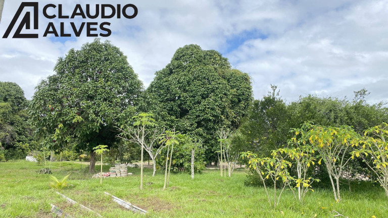 Imagem Terreno à Venda, 15.000 m² em Conceição - Feira De Santana Imagem Terreno à Venda, 15.000 m² em Conceição - Feira De Santana