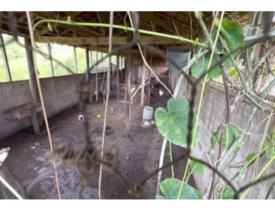 Imagem Imóvel à Venda, 8.000 m² em área Rural De Bauru - Bauru