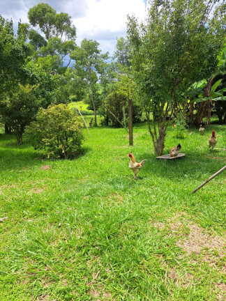 Imagem Chácara com 3 Quartos à Venda, 48 m² em Jardim Vieira De Moraes - Itapetininga