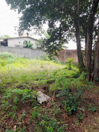 Imagem Terreno à Venda, 12 m² em Praia Da Pipa - Tibau Do Sul Imagem Terreno à Venda, 12 m² em Praia Da Pipa - Tibau Do Sul