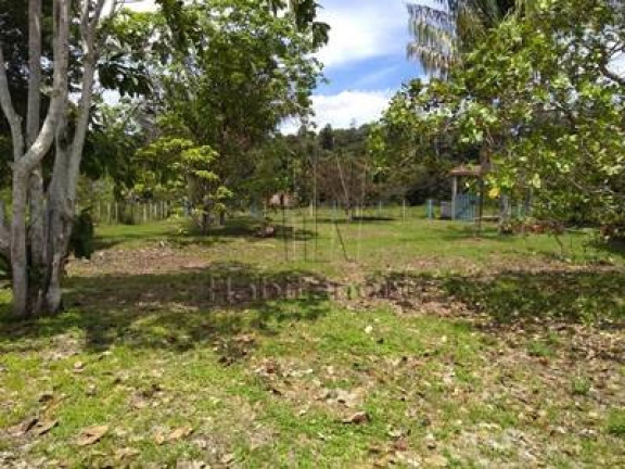 Imagem Chácara com 3 Quartos à Venda, 250 m² em Manaus Imagem Chácara com 3 Quartos à Venda, 250 m² em Manaus