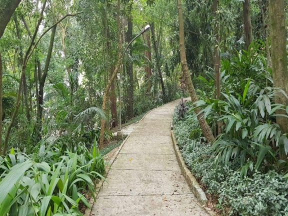 Imagem Imóvel com 3 Quartos à Venda, 159 m² em Jardim Aeroporto - São Paulo Imagem Imóvel com 3 Quartos à Venda, 159 m² em Jardim Aeroporto - São Paulo