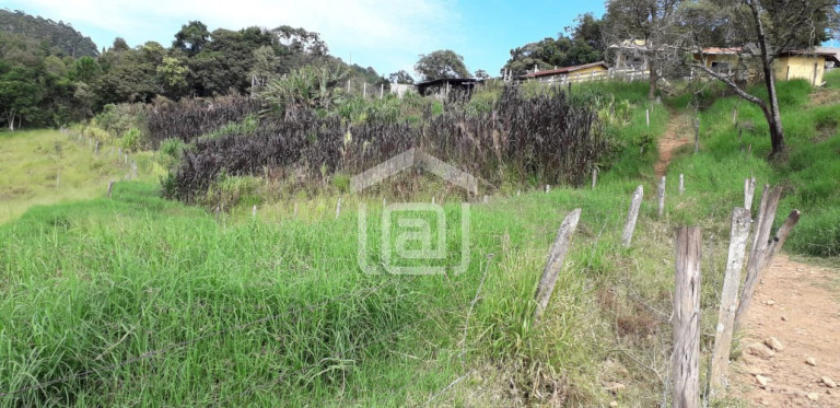 Imagem Imóvel com 3 Quartos à Venda, 20.000 m² em Serra Do Selado (rural) - Poços De Caldas