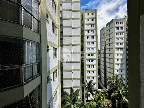 Imagem Apartamento com 3 Quartos à Venda, 74 m² em Jardim Marajoara - São Paulo Imagem Apartamento com 3 Quartos à Venda, 74 m² em Jardim Marajoara - São Paulo