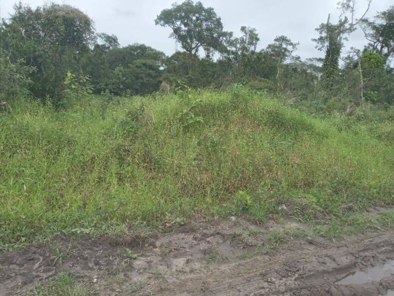 Imagem Terreno à Venda, 360 m² em Ervino - São Francisco Do Sul Imagem Terreno à Venda, 360 m² em Ervino - São Francisco Do Sul