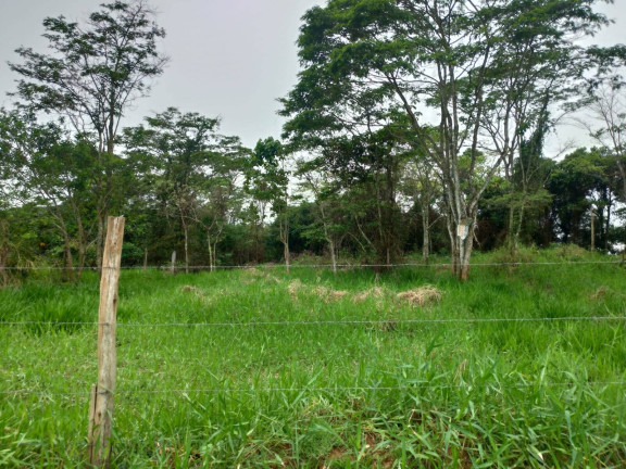 Imagem Terreno à Venda, em Ipiabas - Barra Do Piraí Imagem Terreno à Venda, em Ipiabas - Barra Do Piraí