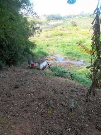 Imagem Chácara com 2 Quartos à Venda, 5.500 m² em Vila Saltinho - Campinas
