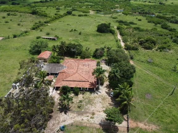 Fazenda à Venda, 300.000 m² em Lagoa Do Mato - Monte Alegre