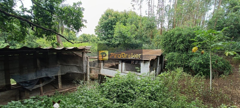 Imagem Imóvel com 7 Quartos à Venda, 38.588 m² em Santa Luzia - Charqueada