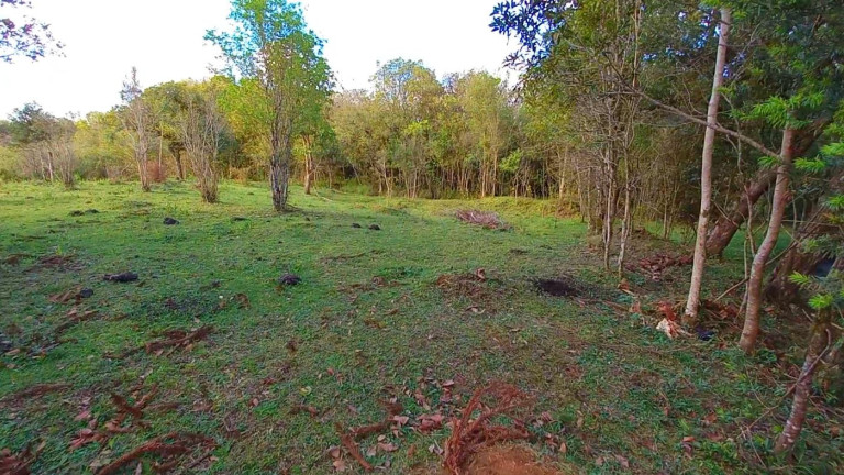 Imagem Imóvel à Venda, 32.800 m² em Ambrósio - Tijucas Do Sul