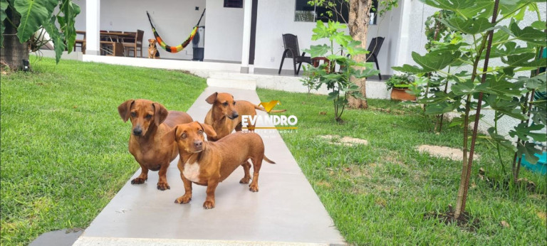 Imagem Casa com 3 Quartos à Venda, 420 m² em Boa Esperança - Cuiabá Imagem Casa com 3 Quartos à Venda, 420 m² em Boa Esperança - Cuiabá
